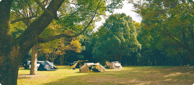 向平キャンプ場